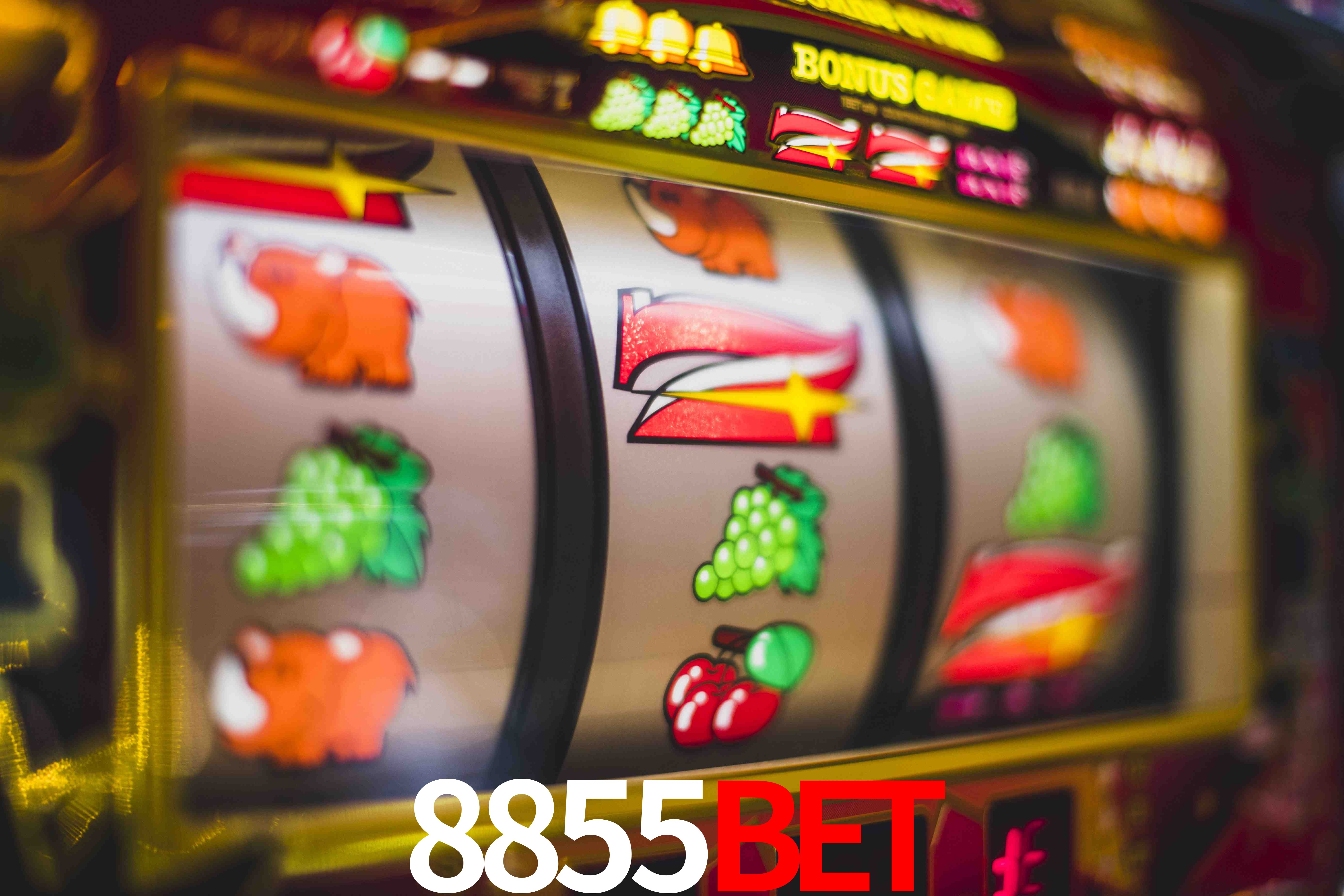 Aviator Game 8855Bet